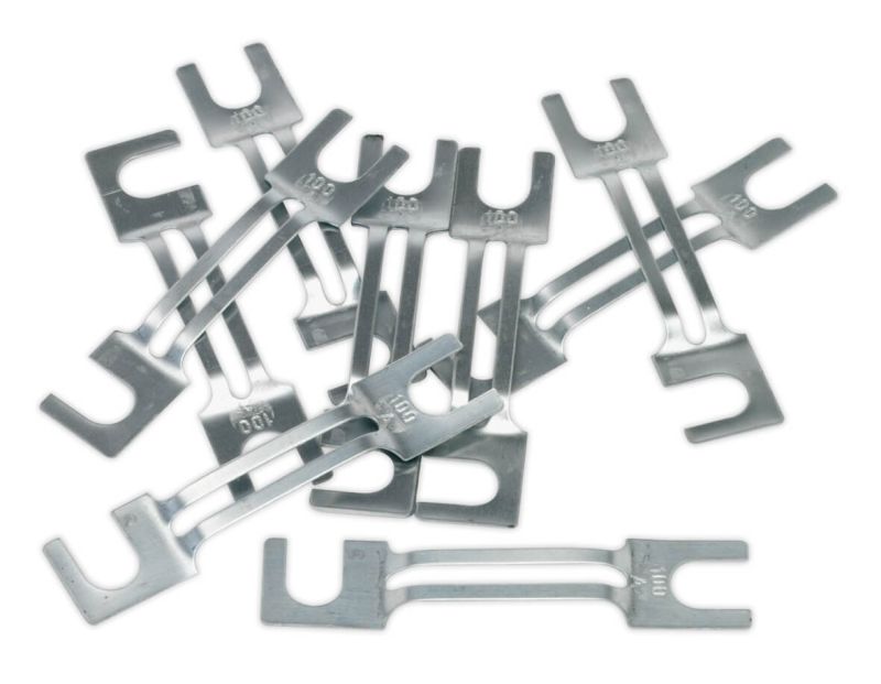 Sealey 120/802131 Fuse 100Amp 99 x 20mm Large Pack of 10