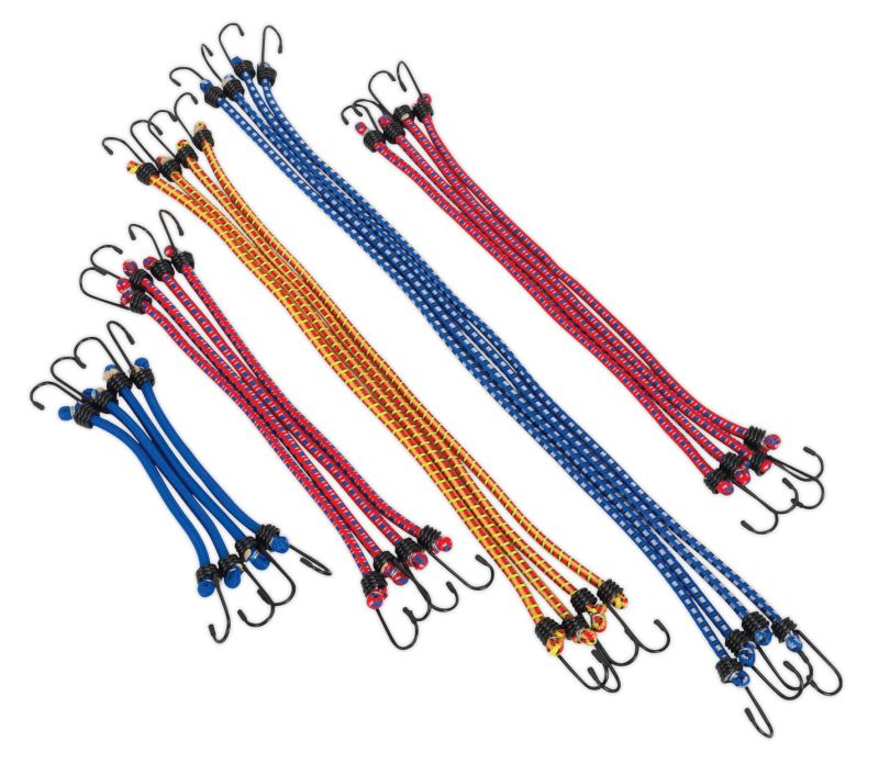 Sealey BCS20 Elastic Cord Set 20pc