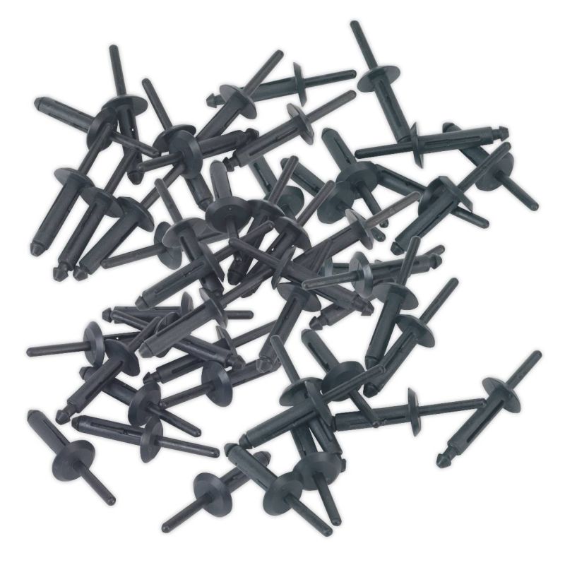 Sealey PR002 Plastic Rivet ⌀6.3 x 25.2mm Pack of 50