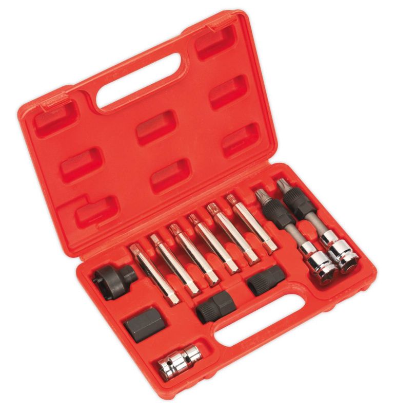 Sealey SX401 Alternator Freewheel Removal Set 13pc