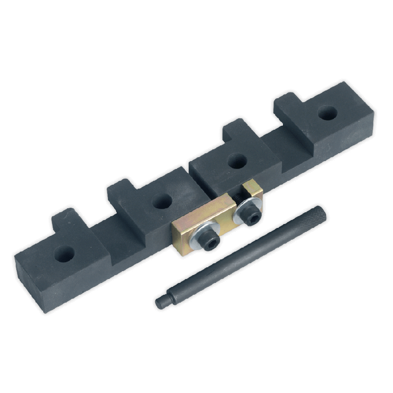 Sealey VSE4425 Petrol Engine Setting/Locking Set   BMW 1.8 1.9 2.02.2 2.5 2.8 3.0 M42/M50/M52/M52TU/M54/M56   Chain Drive