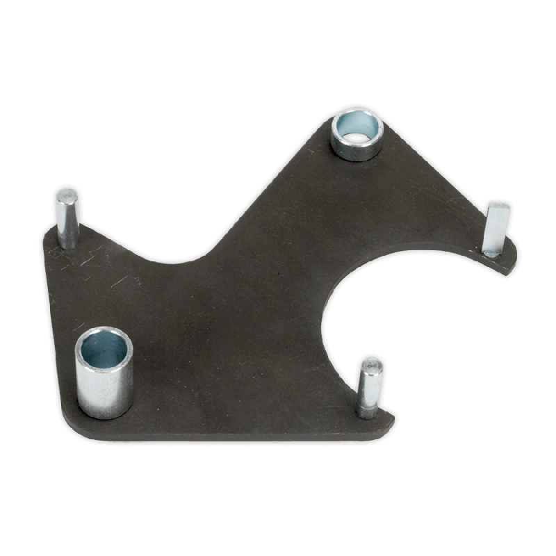 Sealey VSE5734 Petrol Engine Camshaft Sprocket Holding Tool   Renault 1.4 1.6   Belt Drive