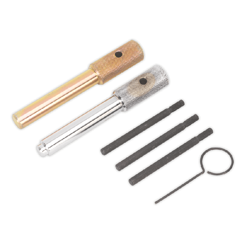 Sealey VSE5842 Diesel Engine Setting/Locking Kit   Ford Citroen Fiat Jaguar Land Rover LDV Peugeot 2.0D 2.2D 2.4D 3.2D TDCi/TDdi/Di/HDi/JTD/TDi/TD4   Chain Drive