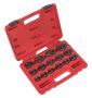Sealey AK5983 Crow's Foot Spanner Set 15pc 3/8