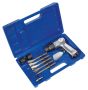Sealey SA12/S Air Hammer with Chisels Medium Stroke