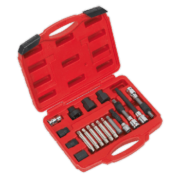 Sealey SX402 Alternator Freewheel Pulley Removal Set 18pc