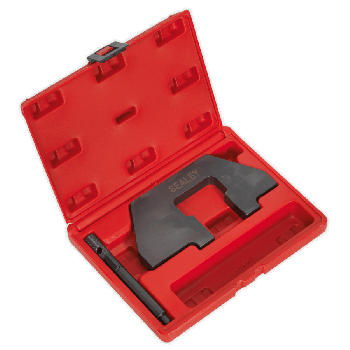 Sealey VSE118 Petrol Engine Setting/Locking Kit BMW 1.6 1.8 1.9 SOHC M43 Chain Drive