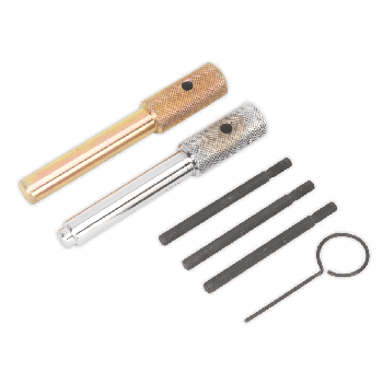 Sealey VSE5842 Diesel Engine Setting/Locking Kit Ford Citroen Fiat Jaguar Land Rover LDV Peugeot 2.0D 2.2D 2.4D 3.2D TDCi/TDdi/Di/HDi/JTD/TDi/TD4 Chain Drive